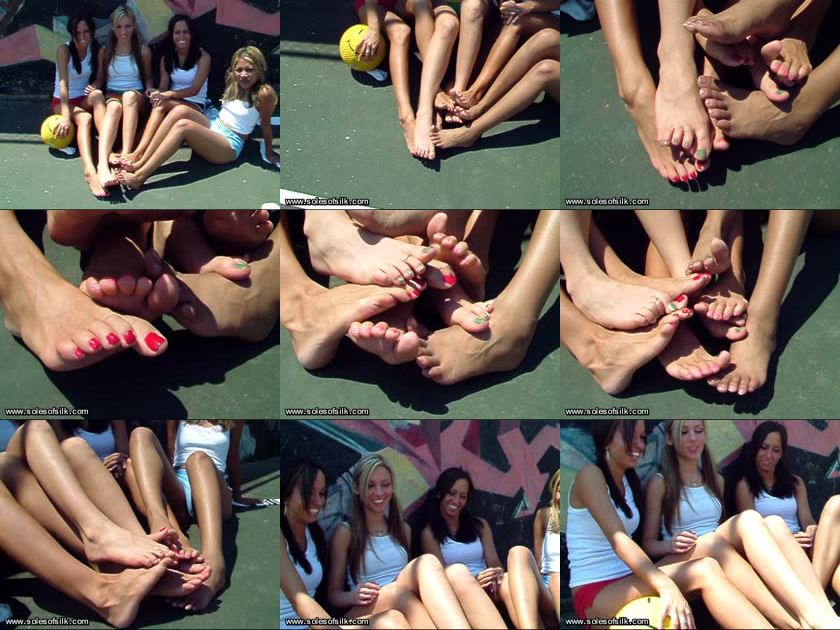 Cover Dodgeball Darlings 3 - SD/WMV