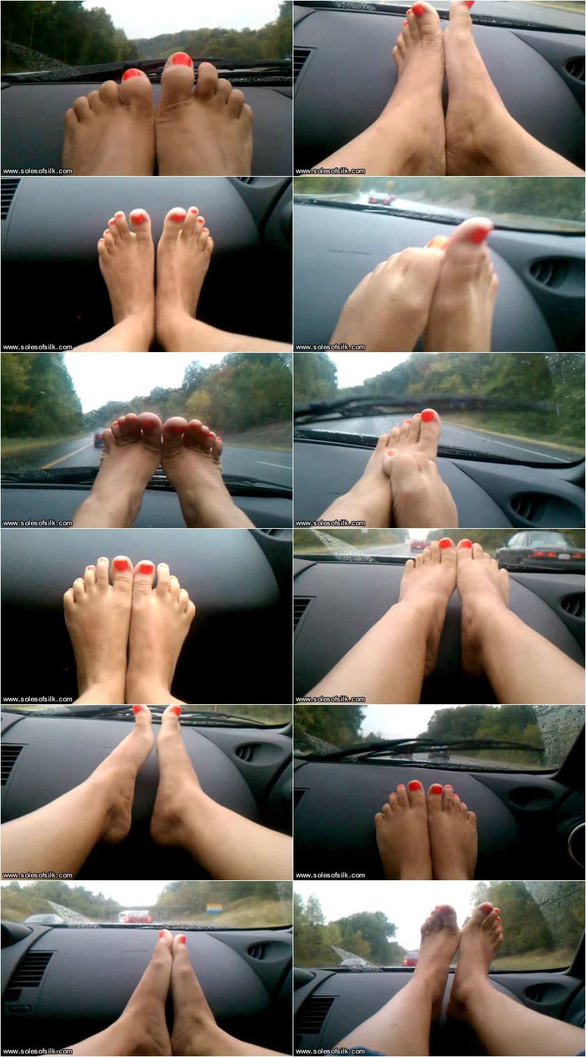 Screenlist Rainy Day Driver Distraction - SD/WMV