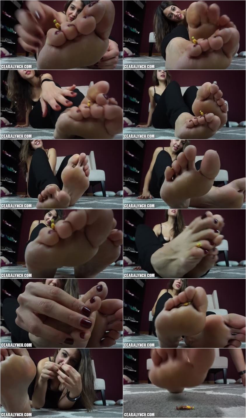 Screenlist Ceara Lynch - Between My Toes - LQ/MP4