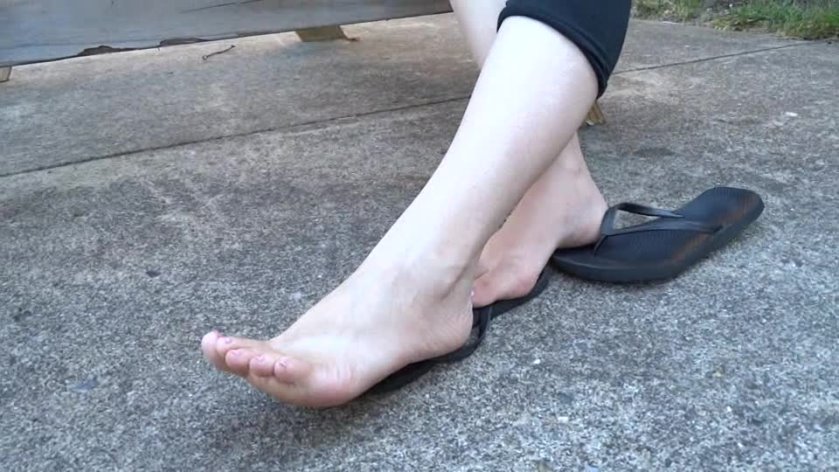 Cover Renee - SD/WMV