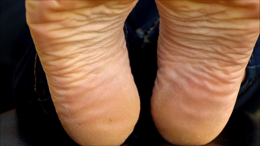 Cover 4 Sebastiana's Soles - Full HD/WMV