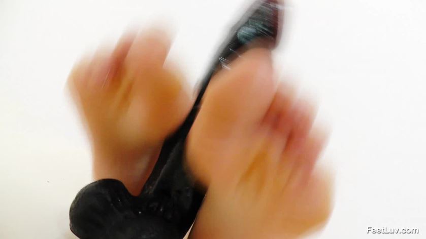 Cover 4 Winnie - HD/WMV