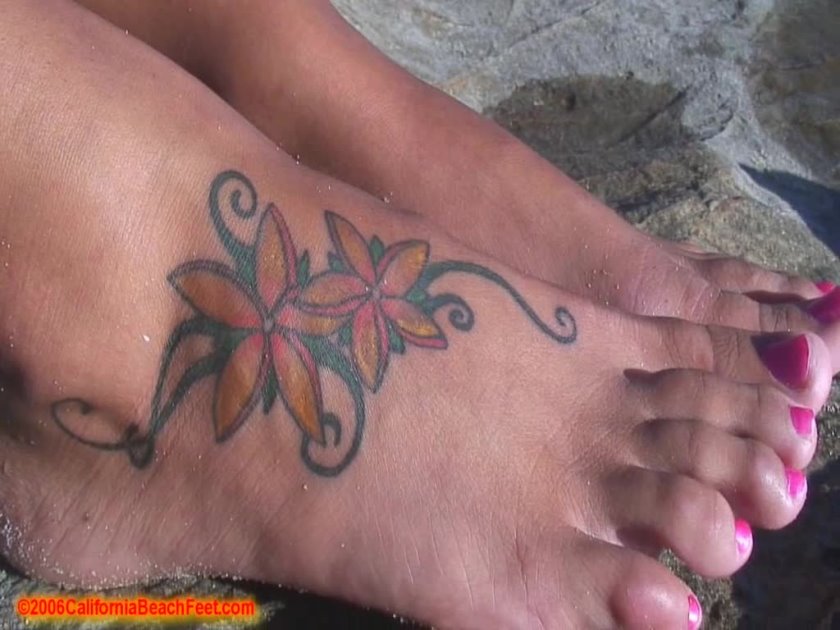 Cover Set 20060726 - HD/MP4