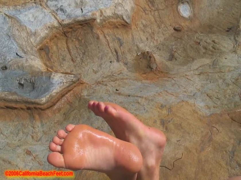 Cover 4 Set 20060915 - HD/MP4