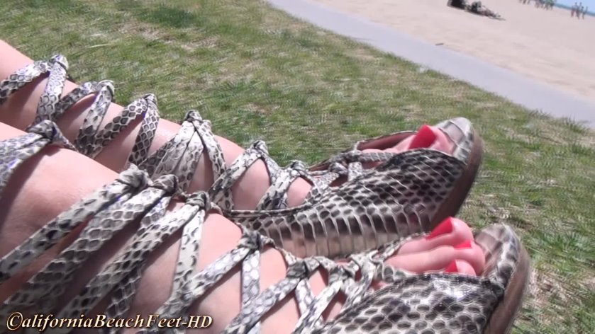 Cover Set 20120419 - Full HD/MP4