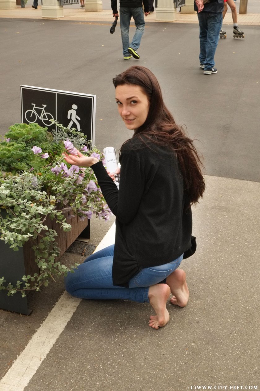 Cover A windy summer day. Part 3 - Full HD/MP4