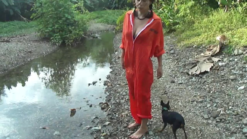 Cover Clip 1003 - HD/MP4