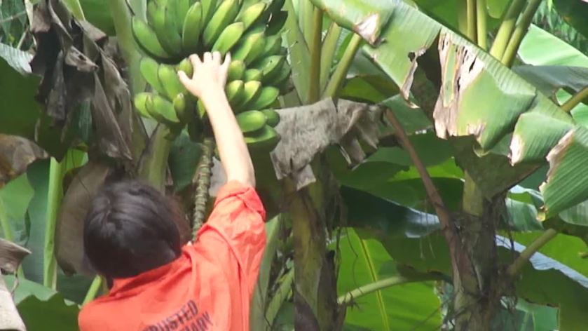 Cover 4 Clip 1003 - HD/MP4