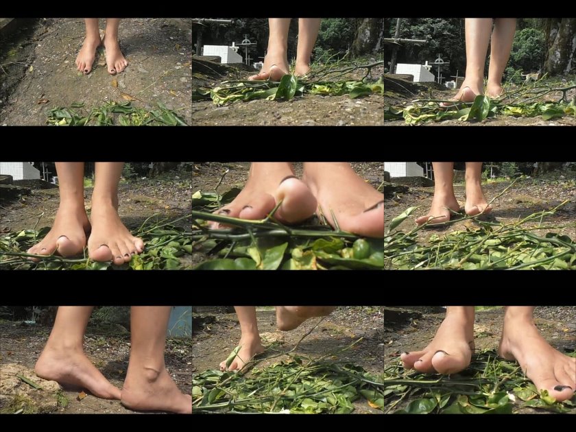 Cover Clip 1038 - SD/MP4