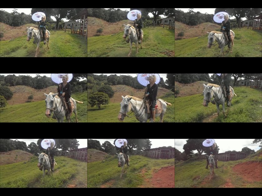 Cover Clip 1048 - SD/MP4