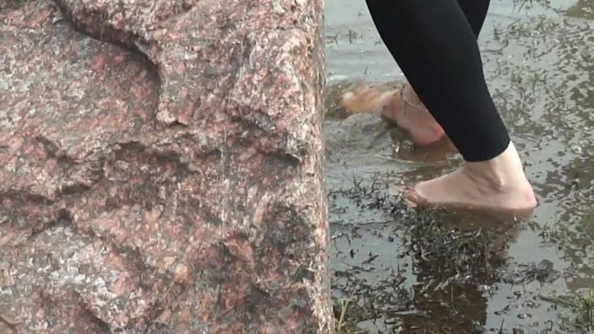 Cover 4 Clip 905 - HD/MP4