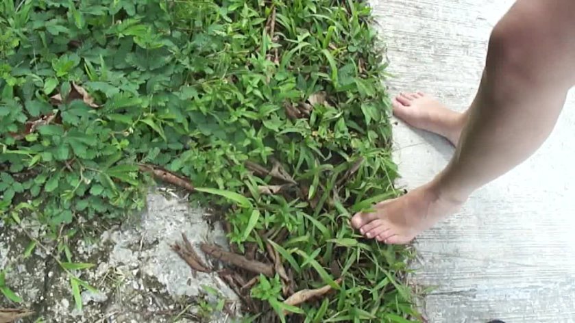 Cover Clip 951 - HD/MP4