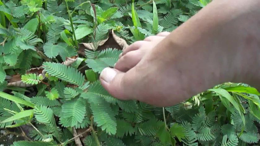 Cover 3 Clip 951 - HD/MP4