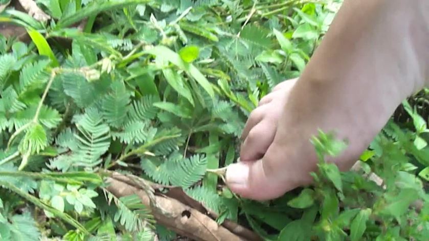 Cover 4 Clip 951 - HD/MP4