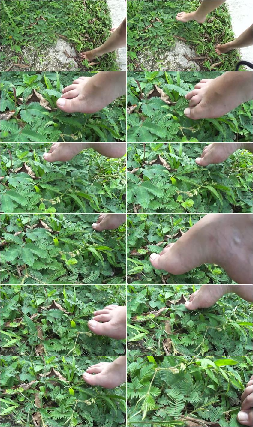 Screenlist Clip 951 - HD/MP4