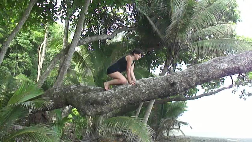 Cover 4 Clip 957 - HD/MP4