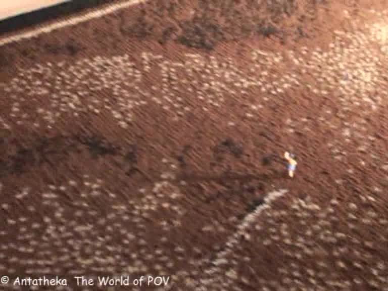 Cover 4 German Giantess The Vore Store - Unaware Survival 2 - A bugmen Movie - SD/WMV