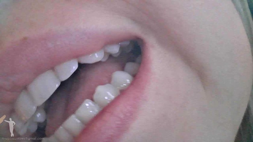 Cover 4 Tinyguycustoms - Mouth Cam - Zaurus - HD/MP4