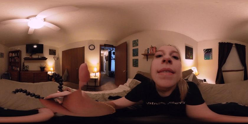 Cover 3 Tinyguycustoms - Zaurus Tiny Boyfriend Play Toy - VR360 - 4K Ultra HD/MP4