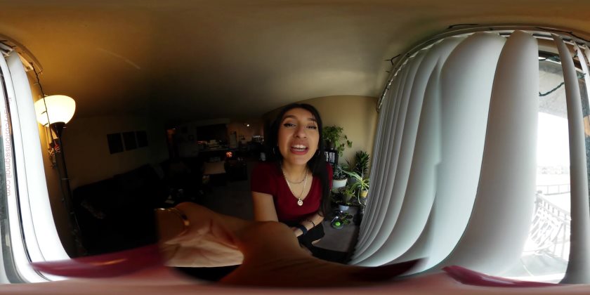 Cover 4 Tinyguycustoms - Chia Tiny Roommate - VR360 - 4K Ultra HD/MP4