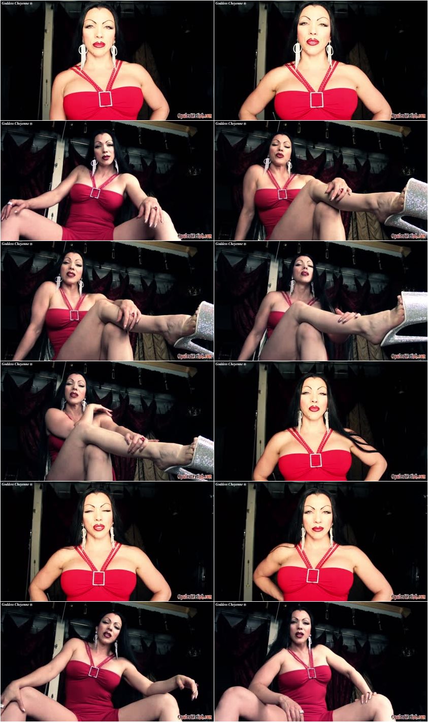 Screenlist GoddessCheyenne - Encouraged Bi Toilet Bitch - HD/MP4