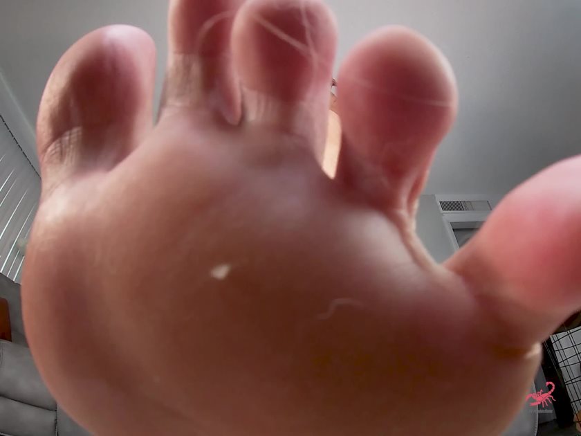 Cover 4 SV Productions - You Think You Can Leave? - MP4