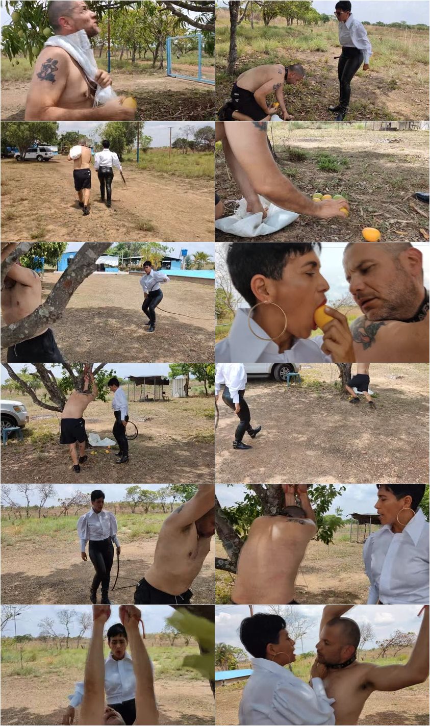 Screenlist Latin Beauties in High Heels - Afq Bullwhipped For Stealing From The Farm Of Pain - HD/WMV