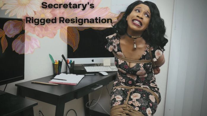 Cover 2 Cupcake SinClair - Secretary's Rigged Resignation - 4K Ultra HD/MP4