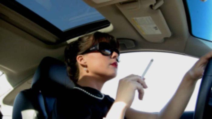 Cover SueAnn - SueAnn 3 - Full HD/MP4