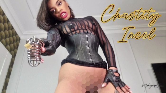 Cover 2 MahoganyQen - Pussy-Free Incel Tease & Humiliation - Full HD/MP4