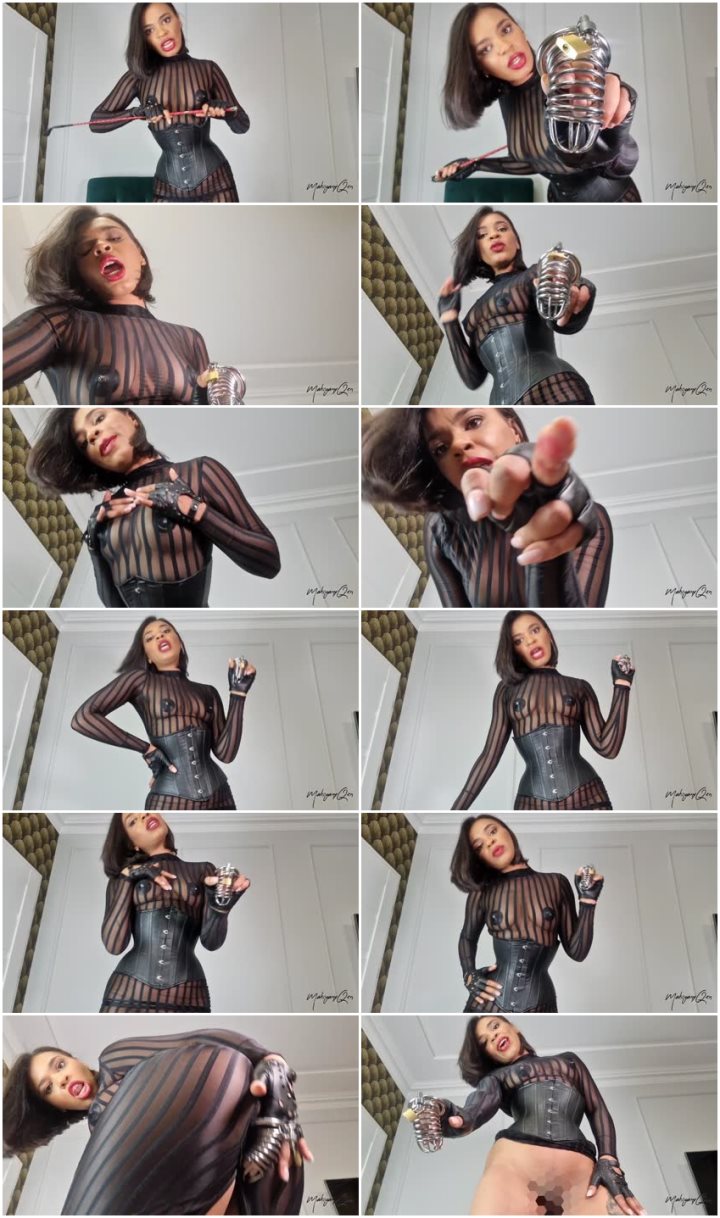 Screenlist MahoganyQen - Pussy-Free Incel Tease & Humiliation - Full HD/MP4