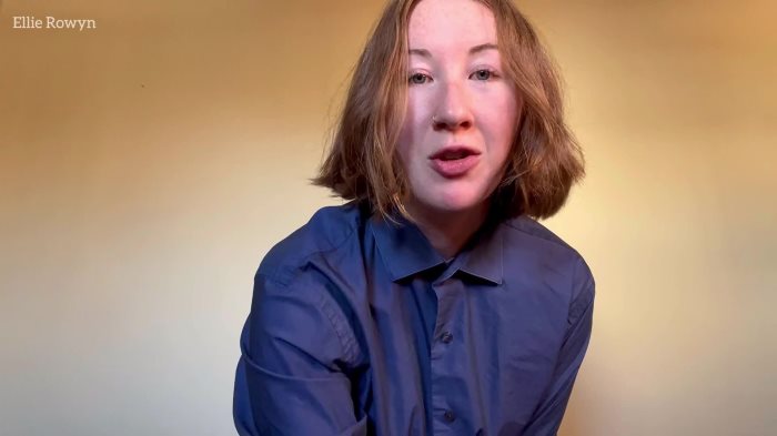 Cover 2 ellierowyn - Pegged By the TSA - Full HD/MP4