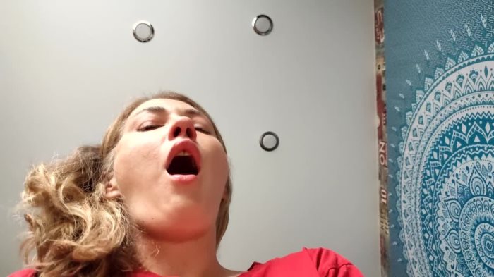 Cover 2 Villena - I sneeze in your face - HD/MP4