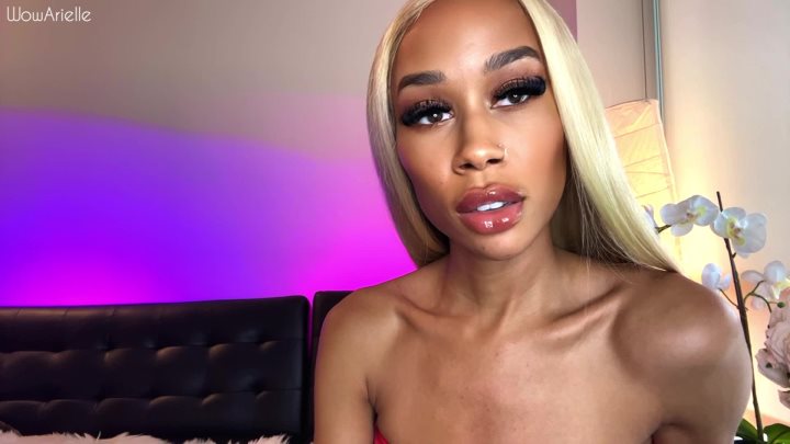 Cover 3 WowArielle - Face Focused Obedience Training - Full HD/MP4