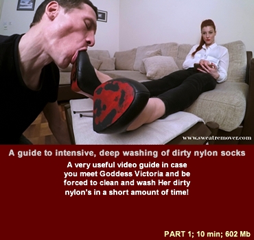 sr_106_01 Sweat Remover