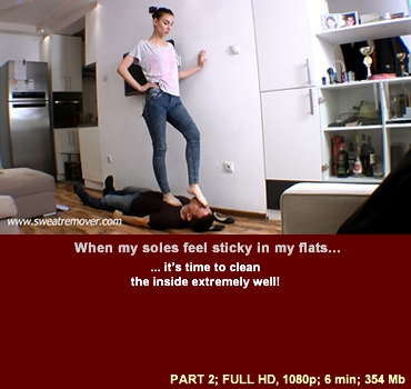 sr_131_02 Sweat Remover