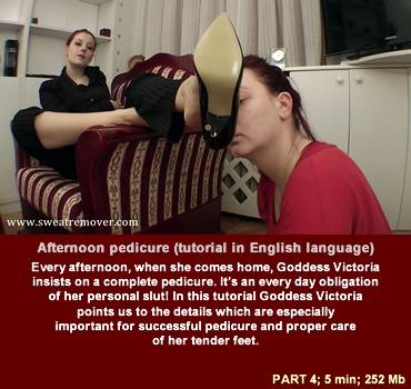 sr_51_04 Sweat Remover