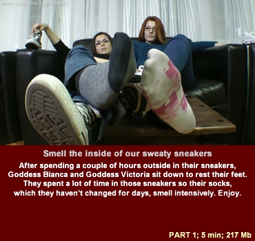 ssg_06_01 Sweat Remover